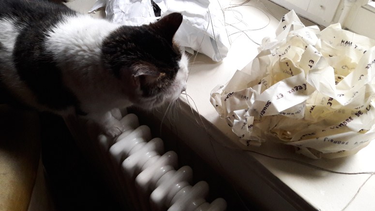 Die schnurrende Katze – oder wie Schreiben&nbsp;geht